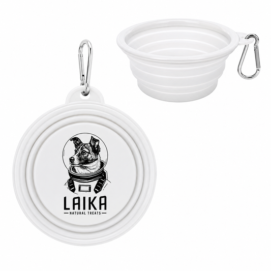 Silicone Pet Bowl