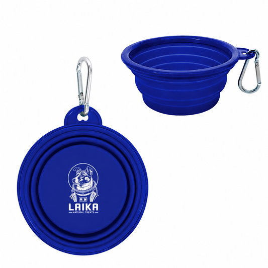 Silicone Pet Bowl